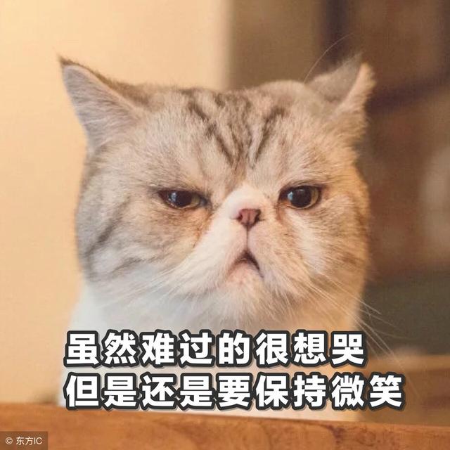 气到晕倒！价格最高的时候，他所有的瑞波币都被女黑客偷走了8