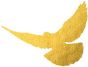 【LTC】华为如何摆脱对销售人员的依赖？14