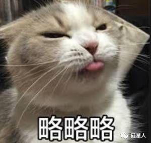 还买什么比特币，快来以太坊里“链养猫”！15