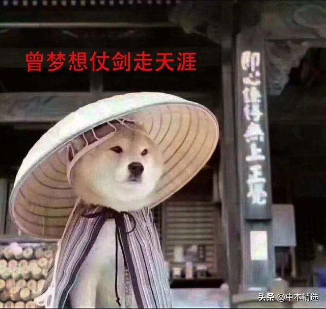 打滴滴回家，司机居然聊起了比特币和以太坊，然后介绍一了个项目1