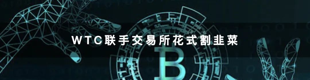 风暴眼中的币安女团6