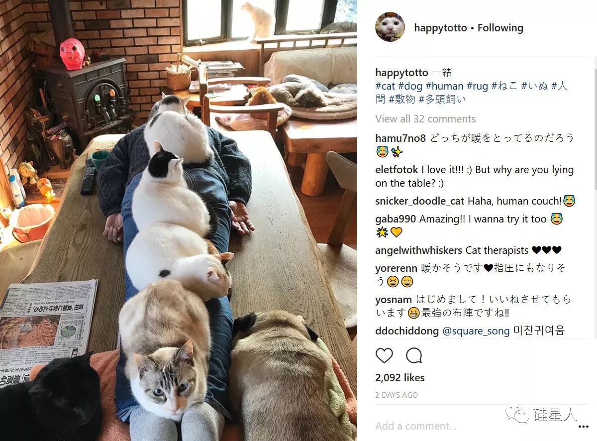 还买什么比特币，快来以太坊里“链养猫”！1