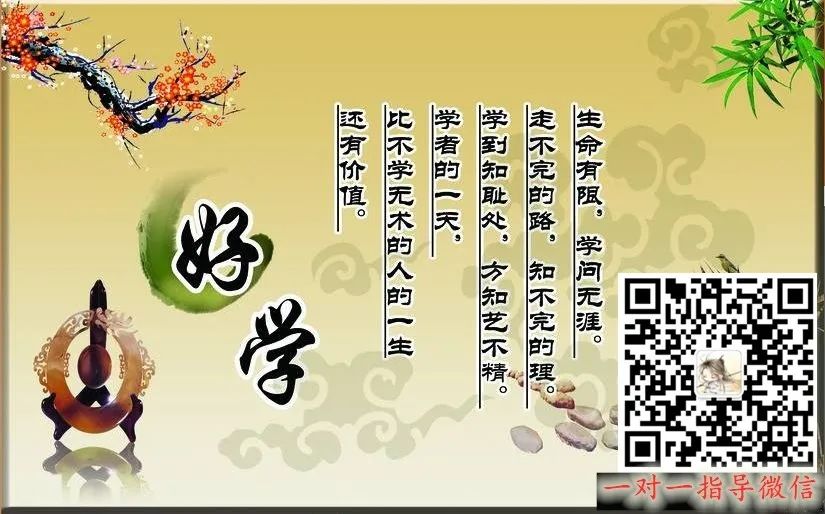 BCH价值被低估，你在经历人生第一个牛市吗？5